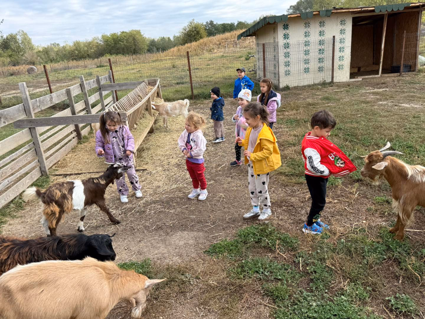 Grădinița ROSAMARIA - Imagine 8