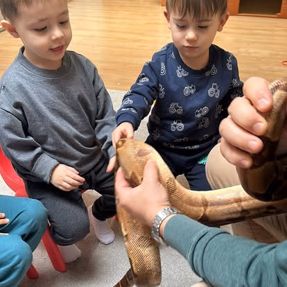 EduCare - Imagine 17